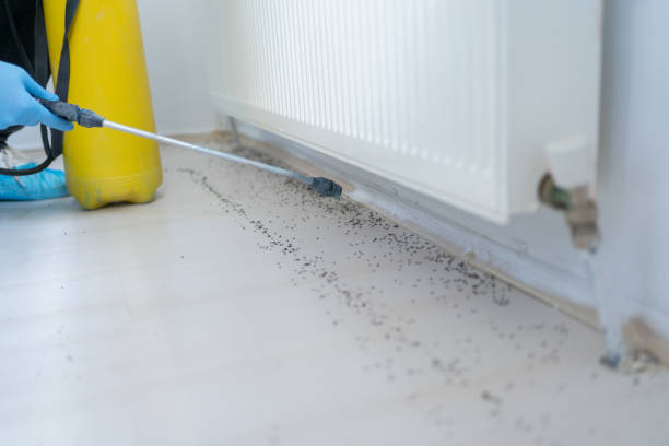 Best Pest Removal Services  in North Canton, OH