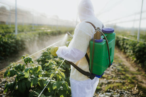 Best Pest Prevention Services  in North Canton, OH
